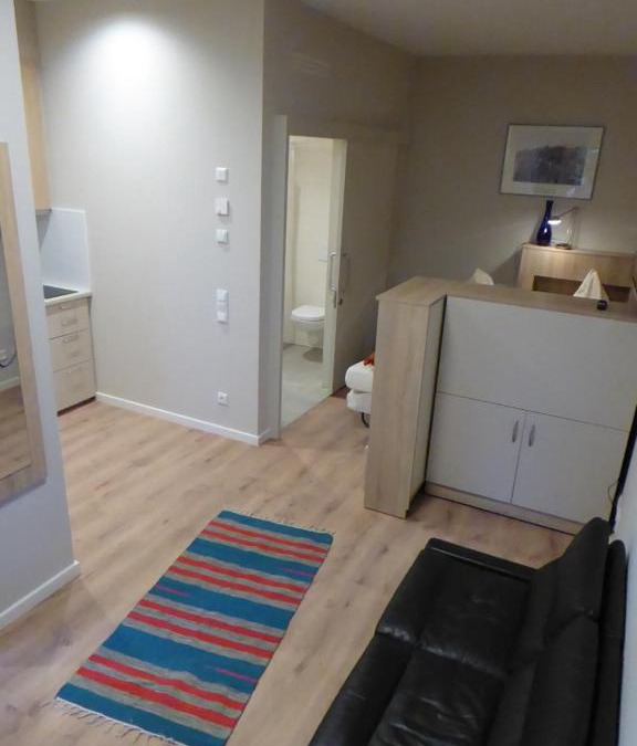 Tuebingen Apartment | Studio Apartment 2