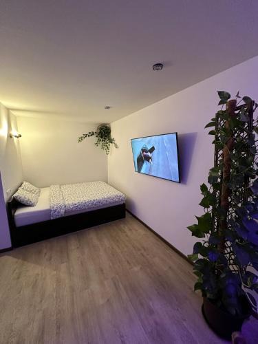 Valmiera Apartment | Studio apartment