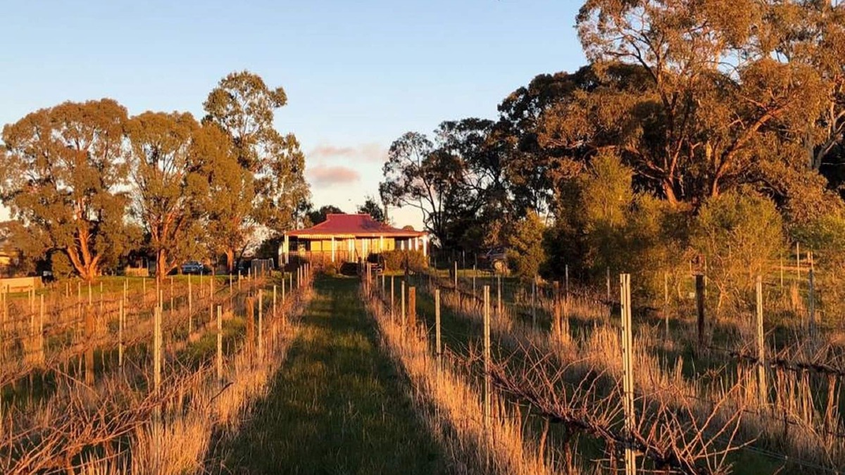 Amherst Bed & Breakfast | Studio apartment on a vineyard in the heart of the goldfields