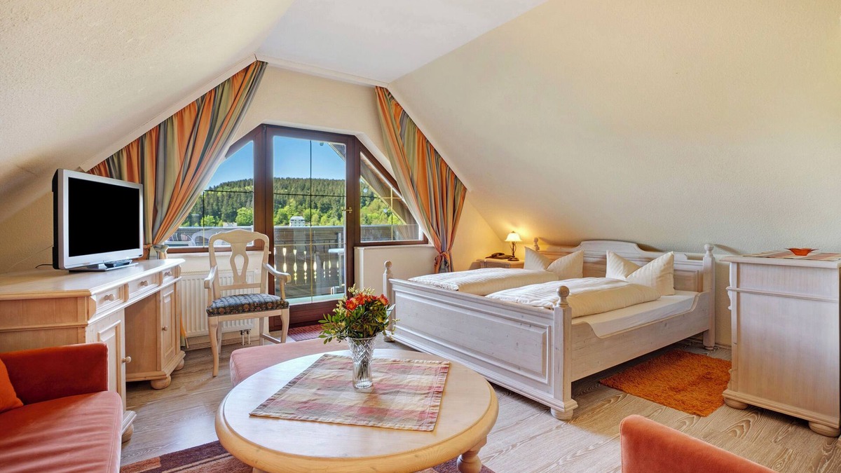 Pobershau Apartment | Studio Apartment 'Pension Bergblick - Silberstraße' with Mountain View, Balcony and Wi-Fi