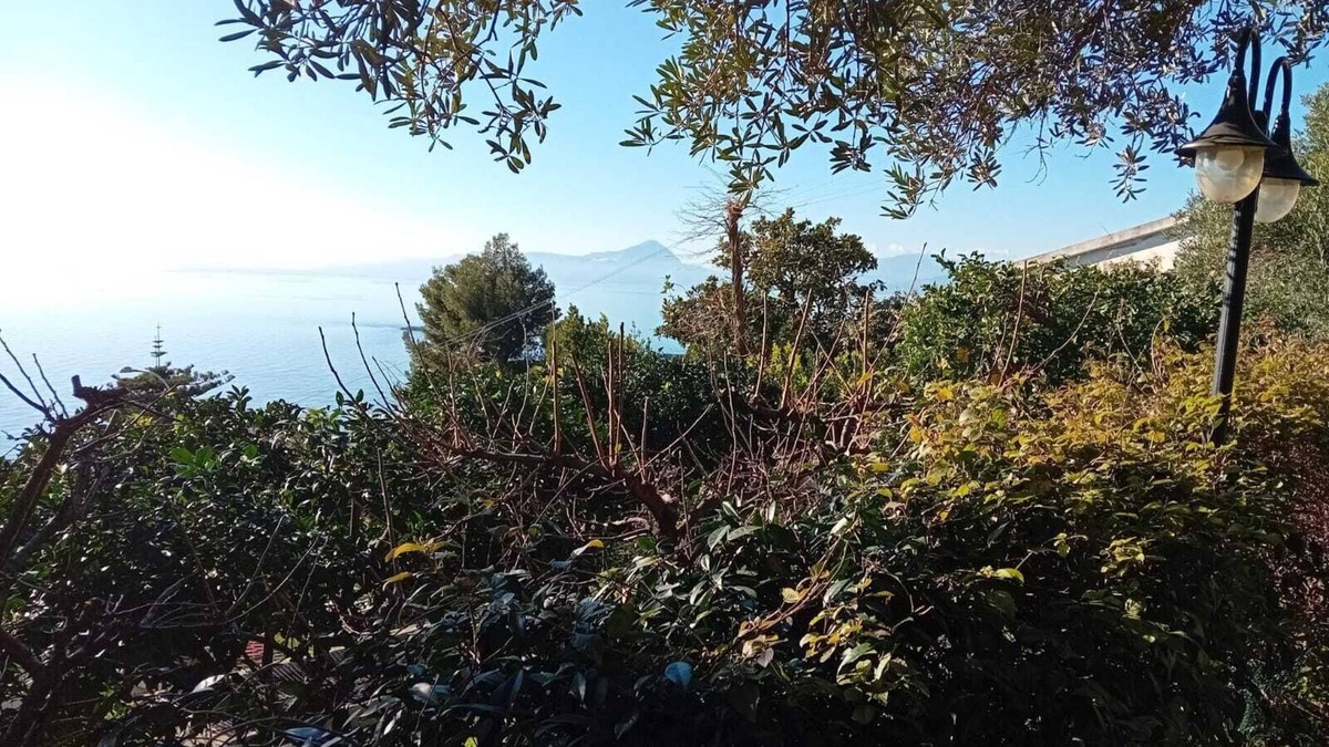 Marina di Maratea Apartment | Studio apartment surrounded by greenery in Marina di Maratea