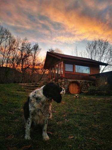 Malaiesti Ski Chalet | Studio Belvedere