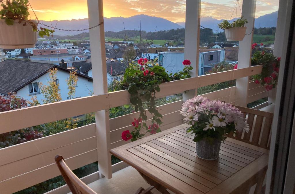 Saint Gallenkappel Apartment | Studio Bergblick