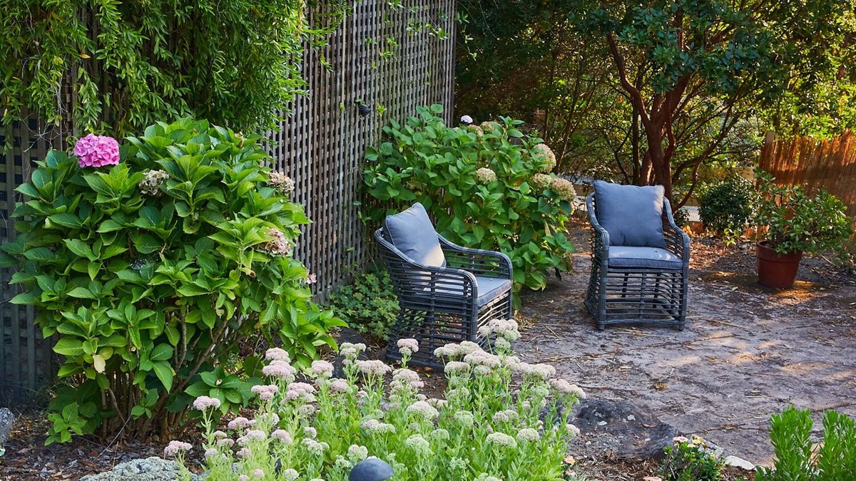 Santa Rosa Cottage | Studio cottage retreat in a vineyard setting