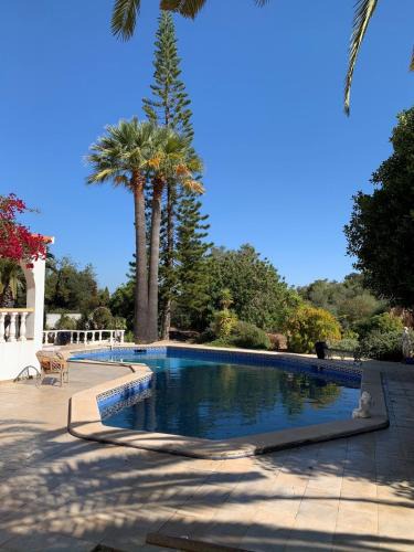 Moncarapacho e Fuseta House | Studio de la Casa Paraiso avec, en plus, une terrasse privative extérieure semi couverte équipée d'un salon d'un coin repas d'une kitchenette, la grande piscine et les jardins sont partagés, à proximité des plages de FUSETA et de la RIA FORMOSA
