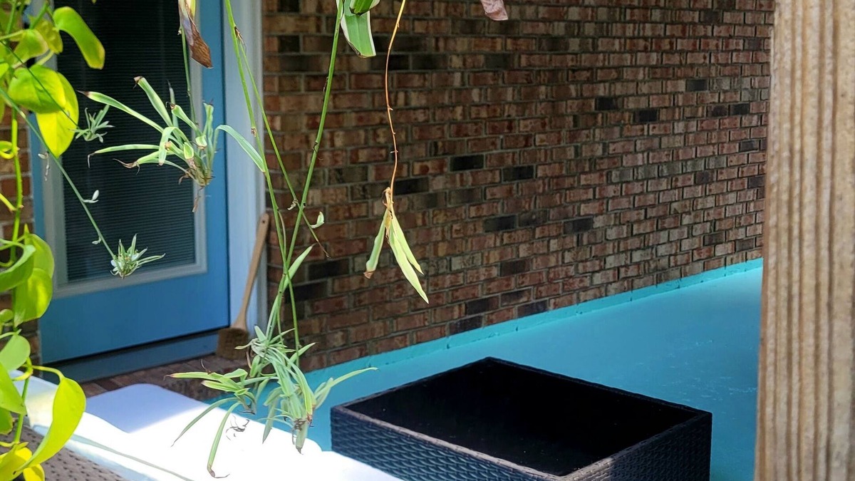 Milton Apartment | Studio Flat minutes from Emerald Coasts BeachesnnnDeep Discount on Second Month