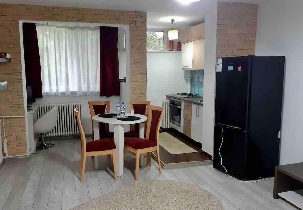 Miercurea-Ciuc Apartment | Studio flat