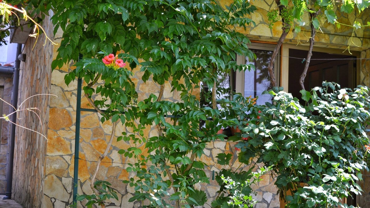 Smrika Apartment | Studio flat with air-conditioning Šmrika, Kraljevica (AS-15709-a)