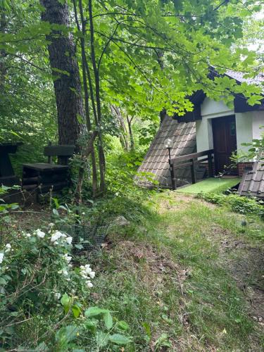 Kamienna Gora House | Studio Gościnne ANTEK