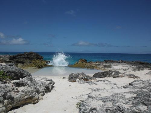 Saint-Francois Apartment | Studio Hibiscus Le Kayela