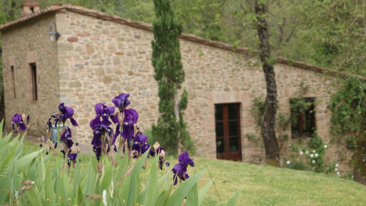 Gaiole in Chianti Cottage | Studio in Chianti Villa in heart of Tuscany, super-large pool, 14 ha property