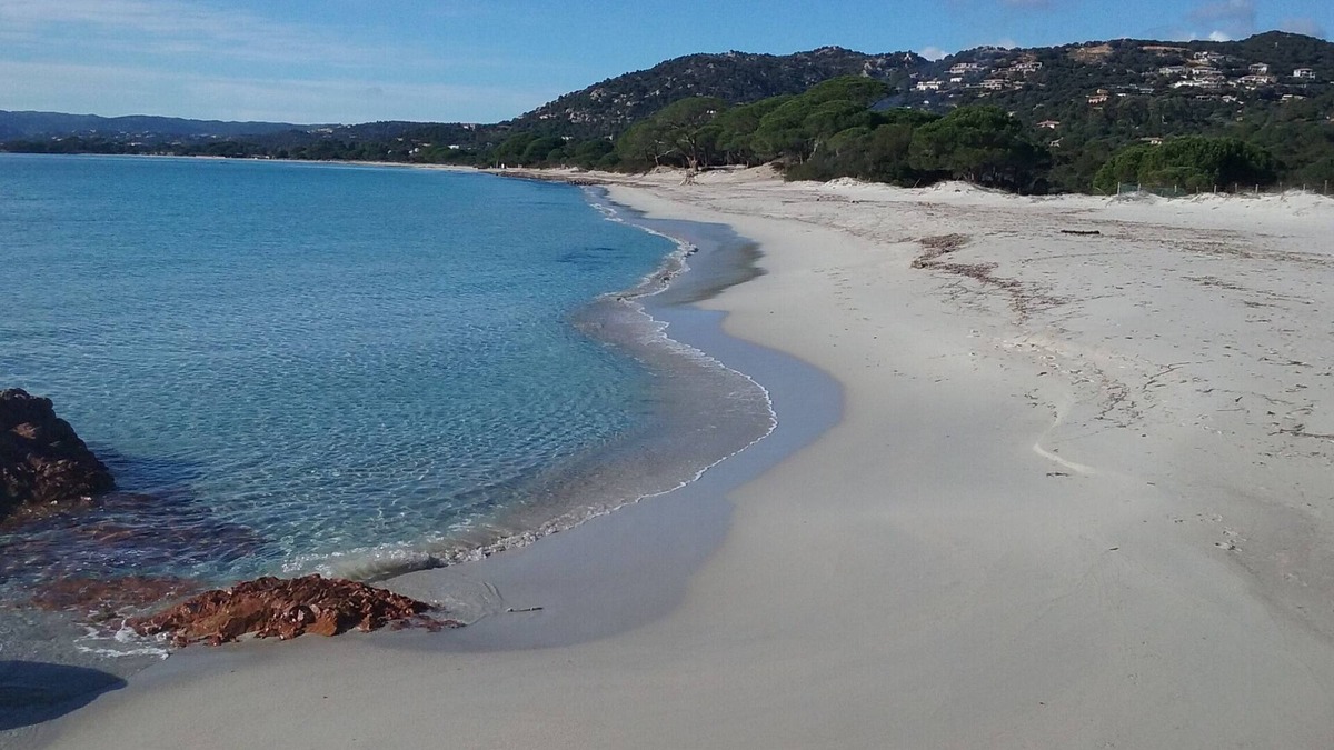 Hameau de Palombaggia Apartment | STUDIO IN PALOMBAGGIA FOR 2 PERS UNDER 700 M FROM THE AIR-CONDITIONED BEACH