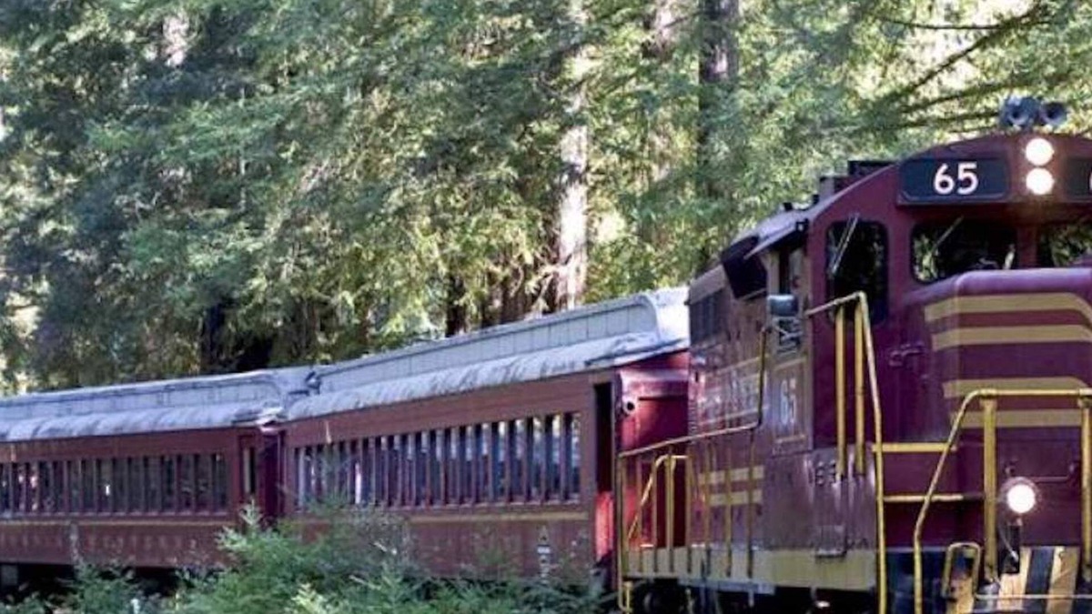 Willits Cottage | Studio in Town Center - between the Beach and Giant Redwoods