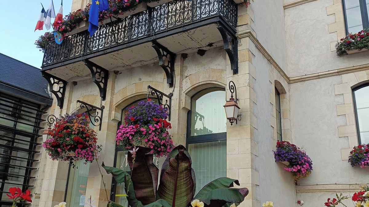 Chatillon-Sur-Loire Apartment | Studio - L'explorateur Douche jet Massant, lit Queen-size