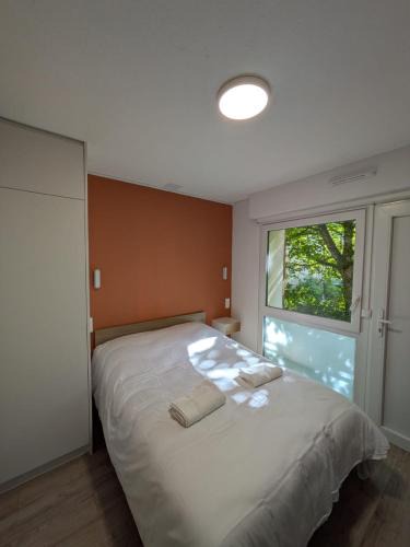 Amneville Apartment | Studio rez de chaussée avec terrasse centre thermal et touristique - Casa Amnéville