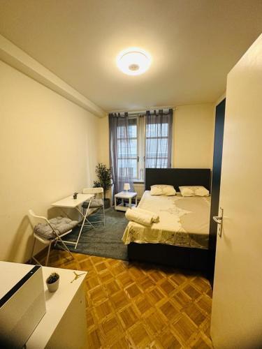 Geneva Old Town Apartment | Studio très accueillant