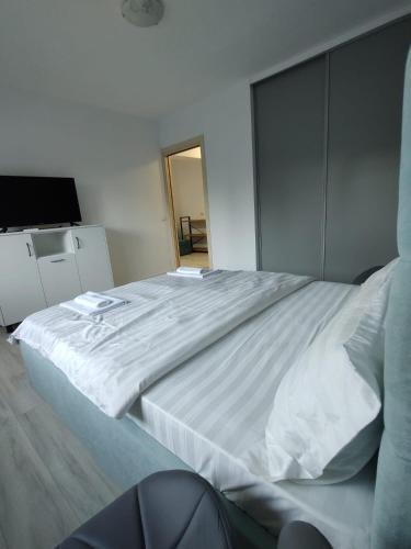 Vata de Jos Apartment | Studio Vata