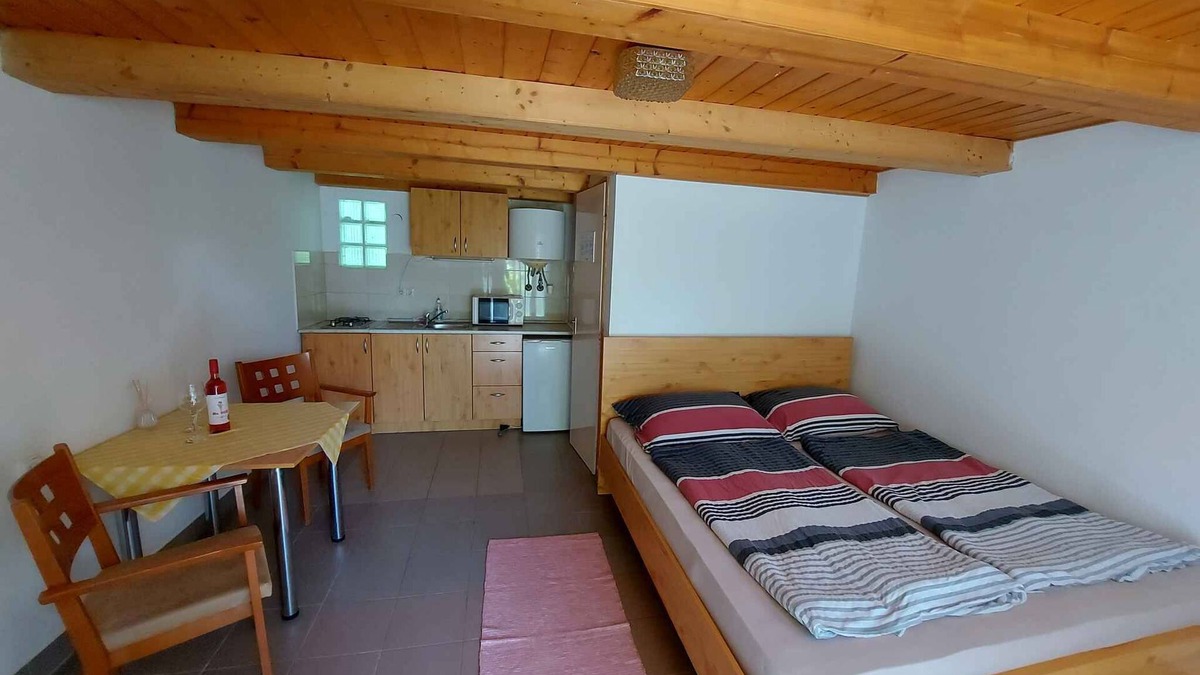 Balatonfoldvar Apartment | Studio with shady garden, washing machine and internet