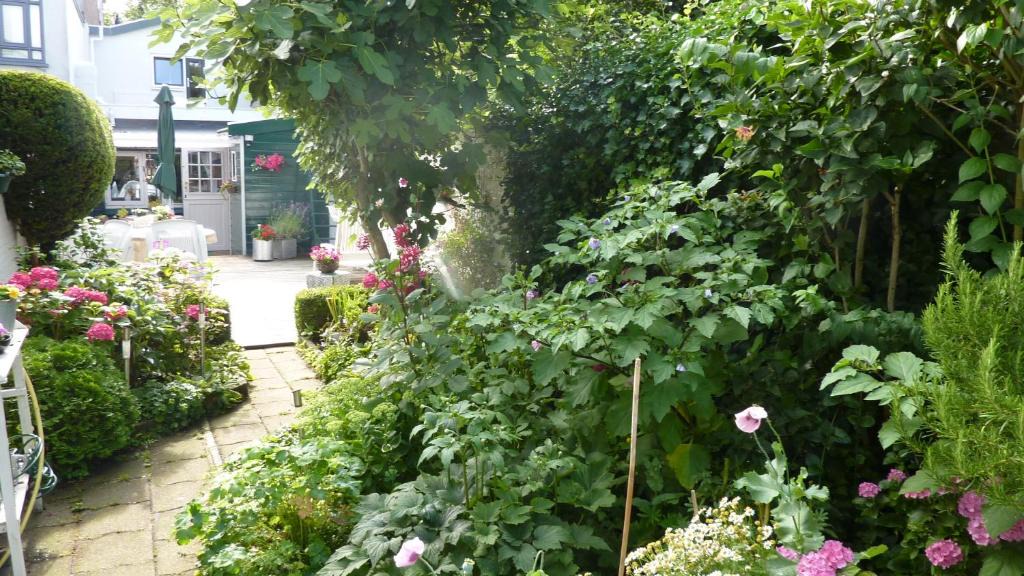 Colijnsplaat Bed & Breakfast | Studio "Zo maar"