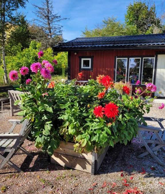 Falun House | StugaFalun
