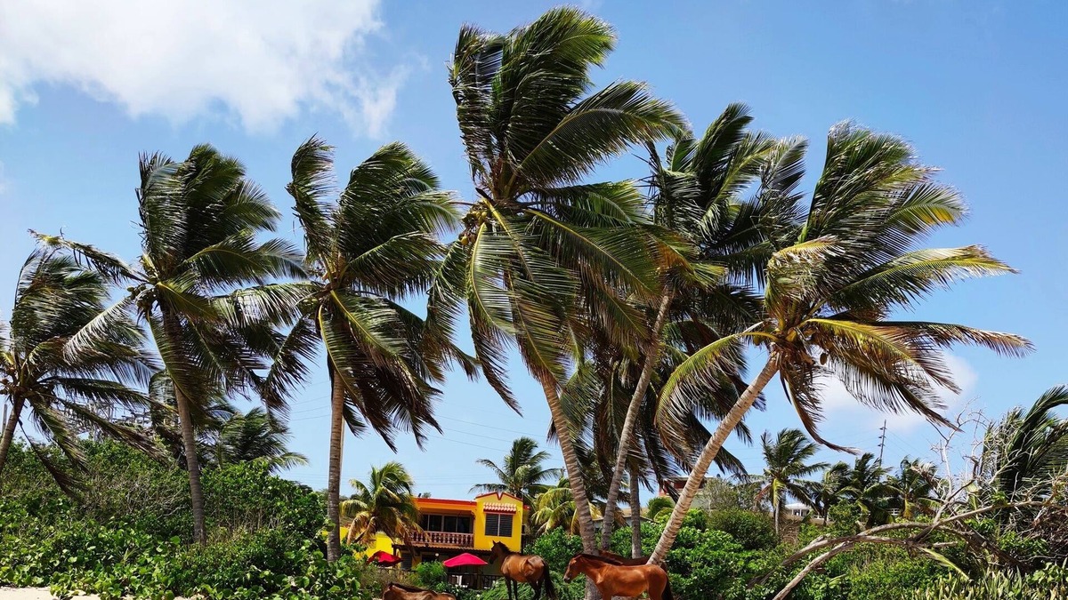 Puerto Diablo House | Stunning Beach Front House, 'Private beach door access" 4BR