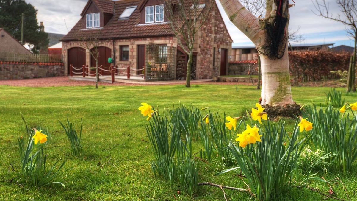 Eyemouth Cottage | Stunning coastal location