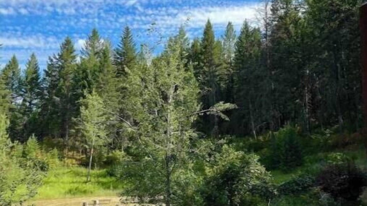 Grand Forks Cabin | Stunning Custom Made Log Home- on 30 acres