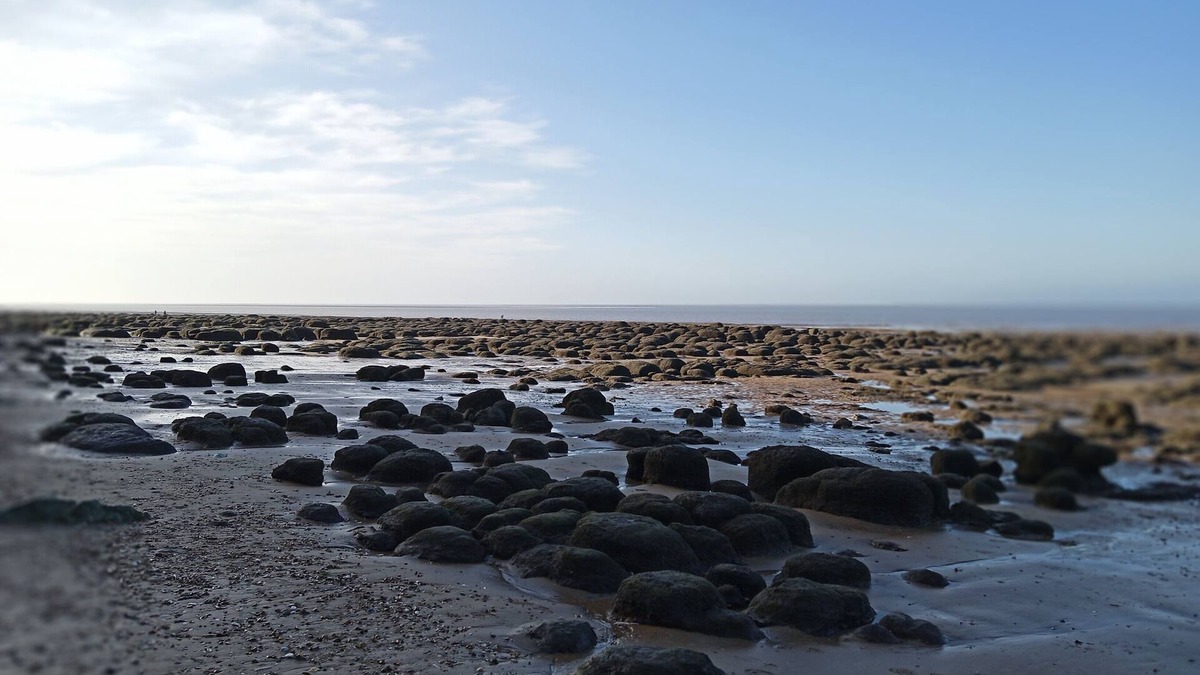 Holme Cottage | Stunning Driftwood Cottage at Holme-next-the-sea