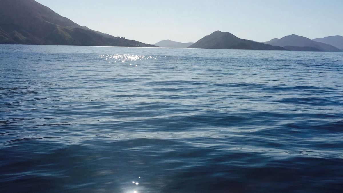 Duncan Bay House | Stunning executive holiday home in tranquil Duncan bay