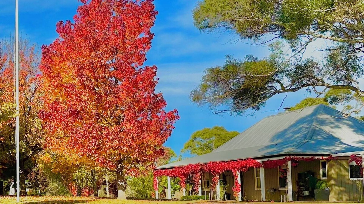 Mongarlowe Other | Stunning Homestead & Cottage, just 10 minutes from historic Braidwood.
