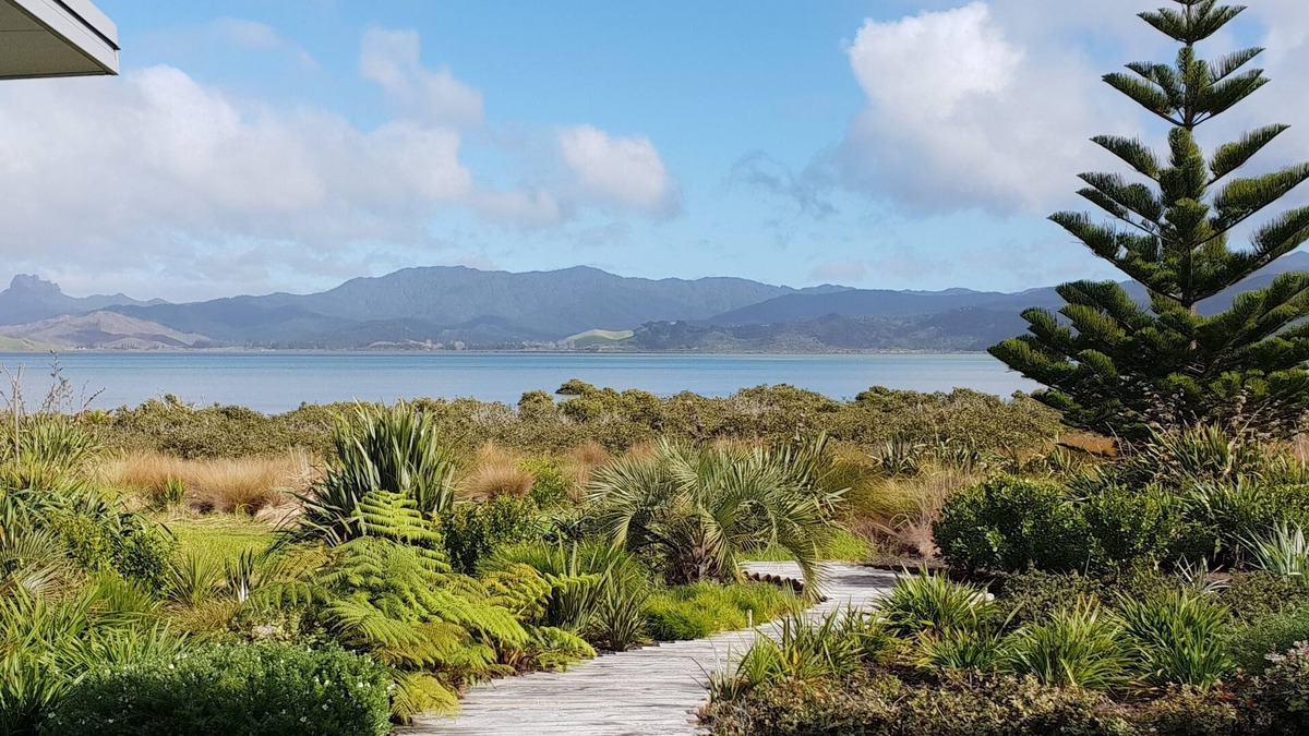 Matarangi House | Stunning modern harbour front beach house.