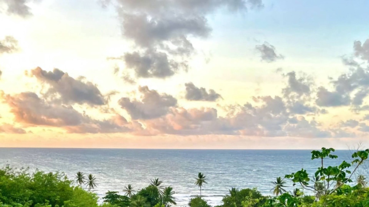 Concordia House | Stunning ocean views, spacious, open-concept, modern luxury & tropical charm.