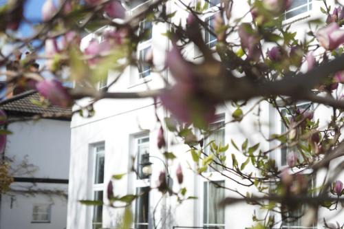 Netley Apartment | Stunning pied-a-terre moments from the water.