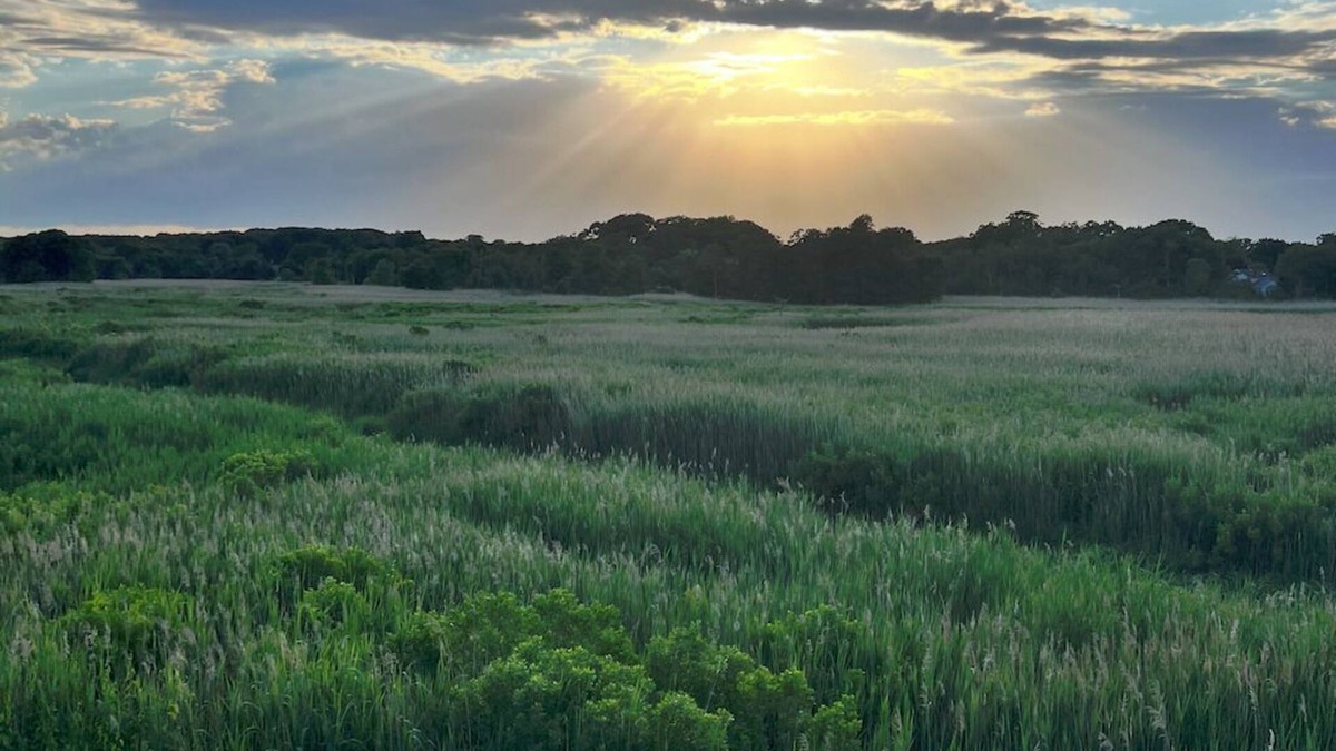 Milford House | Stunning Sunsets & Coastal Charm in Milford!
