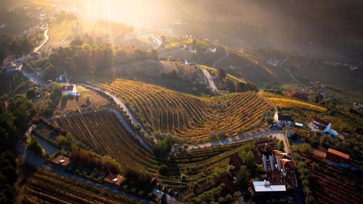 Mesao Frio House | Stunning views in the Douro 1