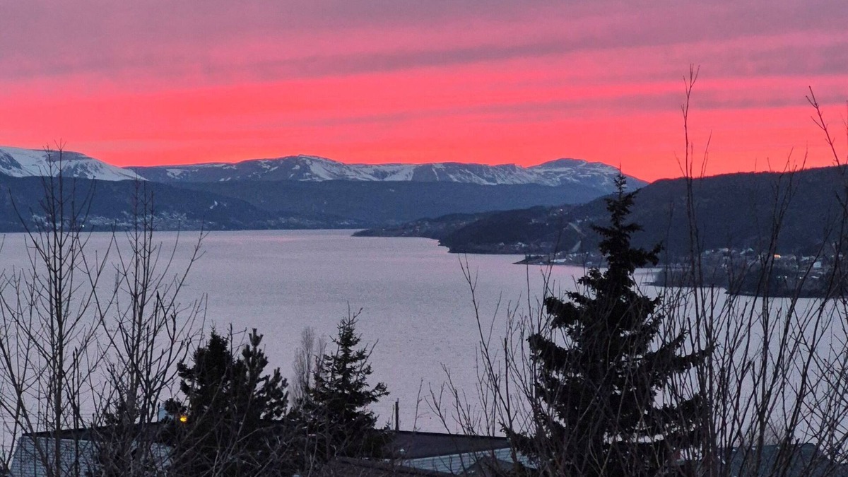 Corner Brook House | Stunning views of the bay and close to all amenities!
