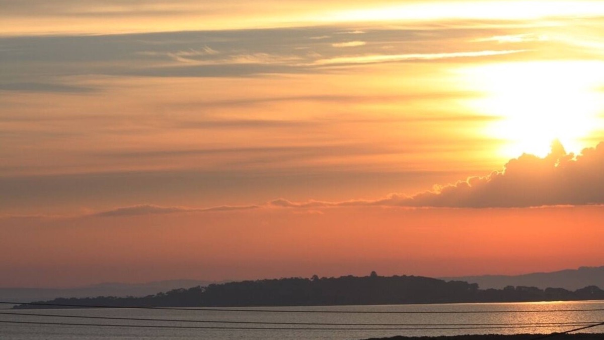 Surf Beach House | Stunning views overlooking Swan Bay - 250m to surf beach-pet friendly and fenced