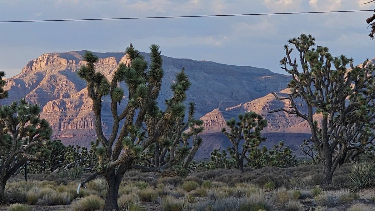 Meadview Cabin | Stunning Views! Rustic cabin facing the base of Grand Canyon West
