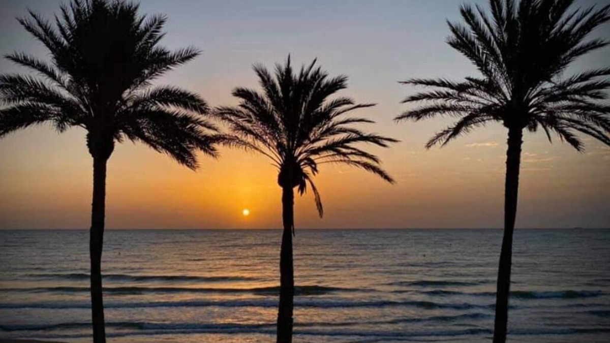 Mil Palmeras Villa | Stunning villa with private pool and large outdoor space near the beach