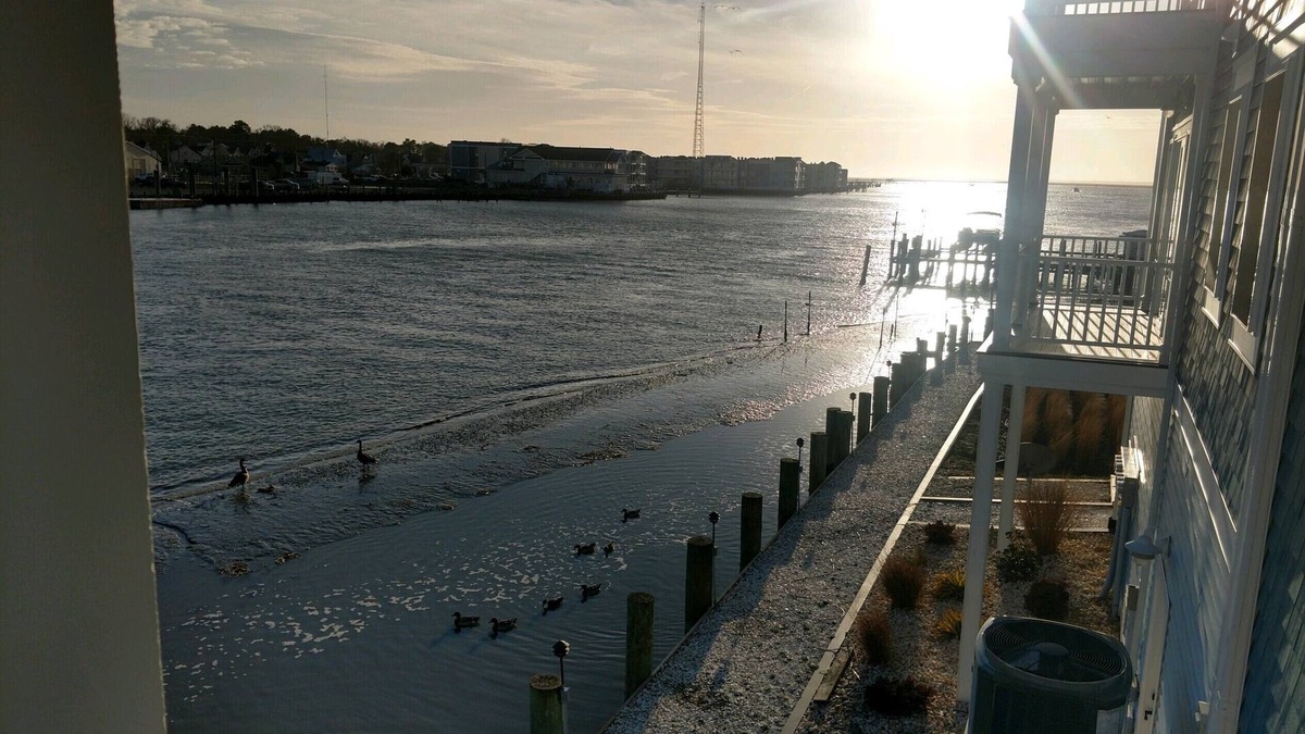 Chincoteague House | STUNNING WATERFRONT VIEWS!