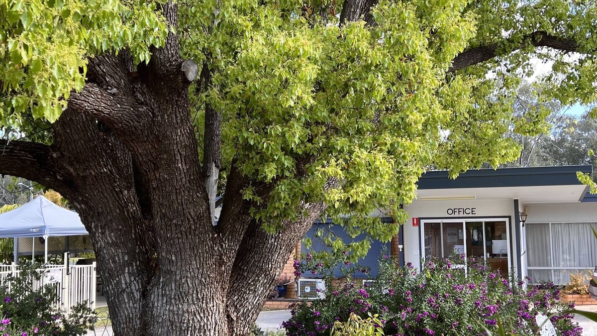 Balranald Hotel | Sturt Motel