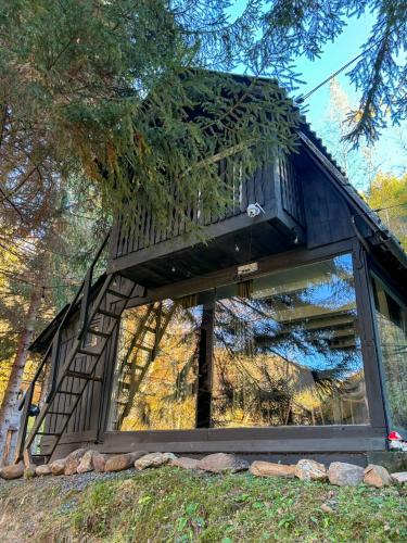 Bulz Ski Chalet | Sturzul Negru