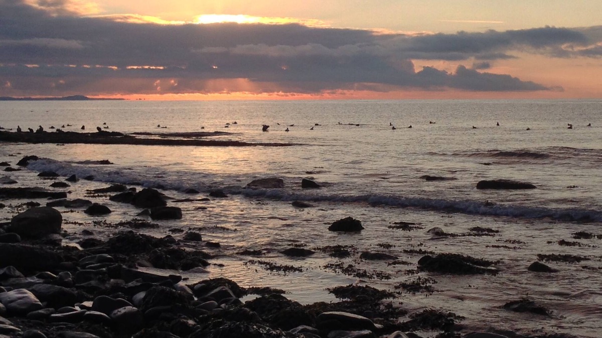 West Wemyss Cottage | Stylish and bright cottage with stunning sea views