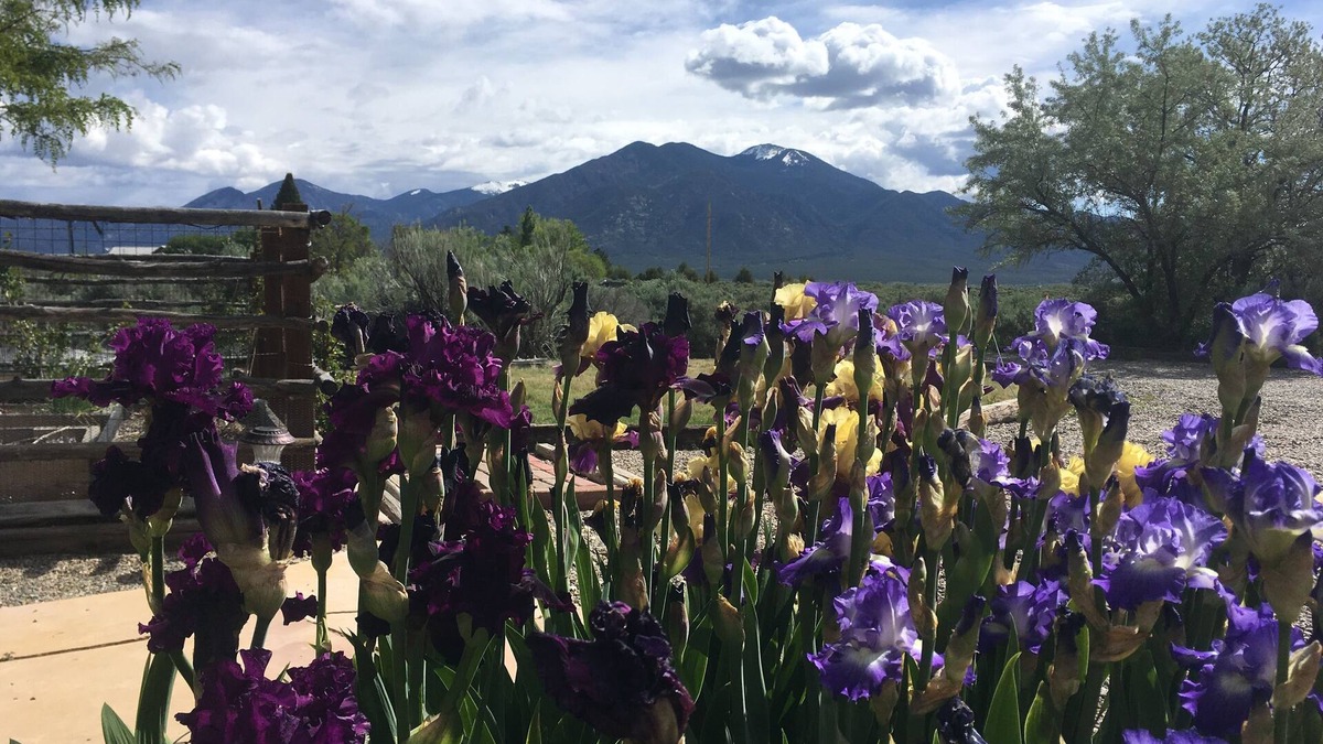 Taos Apartment | Stylish comfortable suite. Awesome Mountain Views!