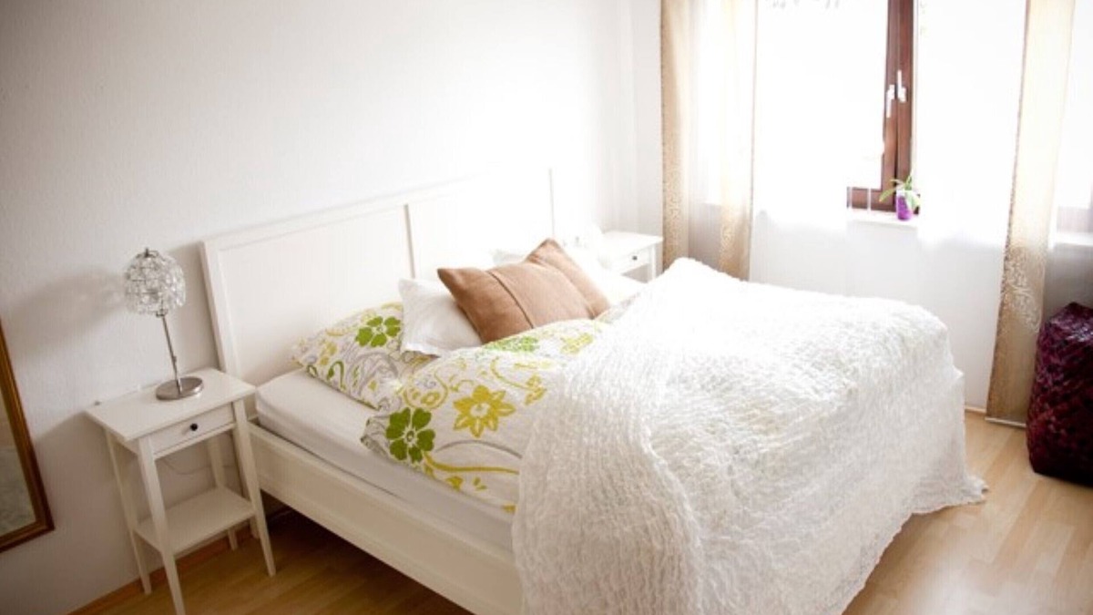 Fischbach Apartment | Stylishly furnished apartment with sunny balcony near the lake