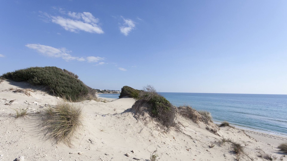 Marina di Pulsano Hotel | Sud Hotel Pulsano
