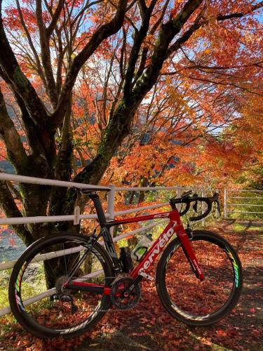 Nakatsu House | Suehiroya - Vacation STAY 60087v