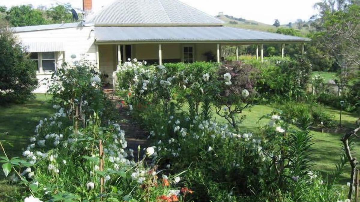 Sugarloaf Other | Sugarloaf Dairy, Dungog