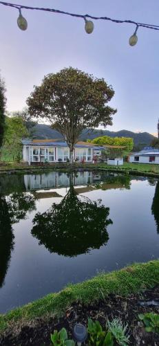 Cogua Bed & Breakfast | Suite 1 El Palco del Neusa