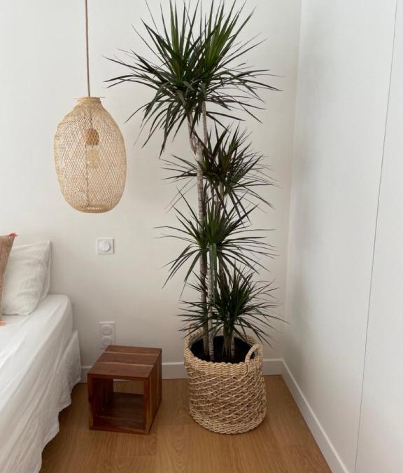Reyrieux House | Suite 671